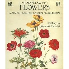 So Many Sweet Flowers: A Seventeenth-century Florilegium - Paintings by Johann Walther, 1654