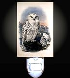 Arctic Owls Decorative Night Light