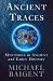 Ancient Traces: Mysteries in Ancient and Early History