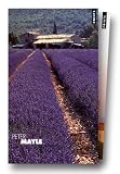 Une ann�e en Provence - Provence toujours - H�tel Pastis