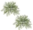 TWO 24" Artificial Maiden Hair Fern Plants Greenery Bushes_Green
