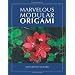 Marvelous Modular Origami