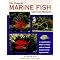 So You Want to Know About Tropical Fish Aquariums