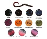 Berkley Gulp! 4 Turtle Back Worm Size: 4; Color: Watermelon (WM)