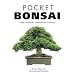 Pocket Bonsai: Care Shaping Repotting Species