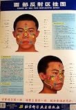 Chart of the Face Reflective Zones (Mandarin Chinese and English Edition)