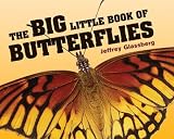 The Big Little Book of Butterflies