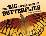 The Big Little Book of Butterflies