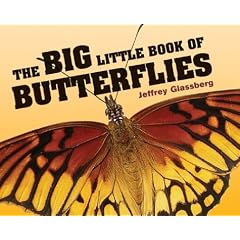 The Big Little Book of Butterflies