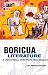 Book Boricua Literature: A Literary History of the Puerto Rican Diaspora