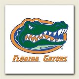 AbsorbaStone Coaster set~ Florida gators ~ 4 Tile Drink Coasters ~ code 919C