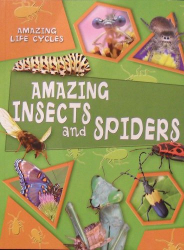 amazing insects and spiders amazing life cycles