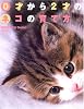 0才から2才のネコの育て方