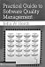 Practical Guide to Software Quality Management (Ar...