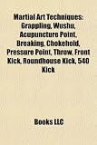 Martial Art Techniques: Grappling, Wushu, Acupuncture Point, Breaking, Chokehold, Pressure Point, Throw, Front Kick, Roundhouse Kick, 540 Kick