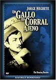 Gallo En Corral Ajeno