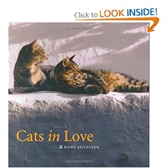 Cats in Love