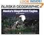 Alaska's Magnificent Eagles (Alaska Geographic Ser.; Vol. 24. No. 4)