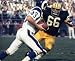 RAY NITSCHKE GREEN BAY PACKERS 8X10 SPORTS ACTION PHOTO (8)
