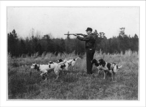 Real sport in the sandhills, Southern Pines, North Carolina