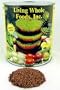 3 Part Salad Sprout Seed Mix - 5 Lbs - Organic Sprouting Seeds: Radish, Broccoli & Alfalfa: Cooking, Food Storage or Delicious Salad Sprouts