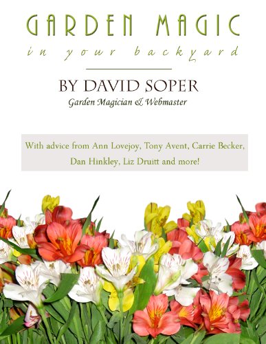 Garden Magic In Your Backyard!