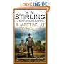 A Meeting at Corvallis: A Novel of the Change (Dies the Fire)