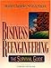 Business Reengineering: The Survival Guide