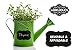 36 Chalkboard Labels (3.5