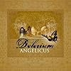 Delerium - Angelicus