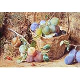 Plums, by William Henry Hunt (Print On Demand)
