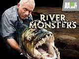 play video on Amazon Prime