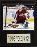 NHL Tomas Vokoun Washington Capitals Player Plaque