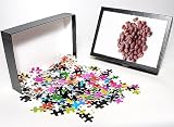 Photo Jigsaw Puzzle of Aduki beans from Science Photo Library