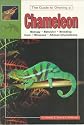 The Guide to Owning a Chameleon
