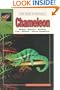 The Guide to Owning a Chameleon