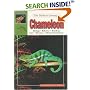 The Guide to Owning a Chameleon