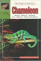 The Guide to Owning a Chameleon