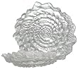 Clear Glass Conch Shell Bowl 11"D, 2"H
