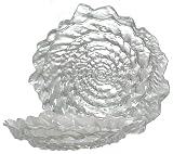 Clear Glass Conch Shell Bowl 11"D, 2"H