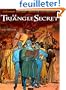 Le Triangle Secret, tome 1 : Le Testament du Fou