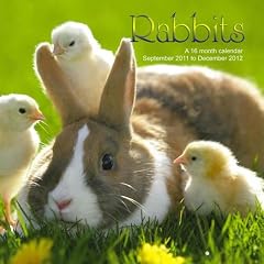 Rabbits 2012 Calendar ANM14