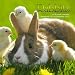 Rabbits 2012 Calendar ANM14