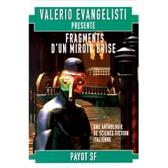 Fragments d'un miroir bris�