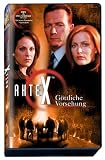 Akte X - G�ttliche Vorsehung - Gillian Anderson