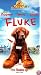 Fluke