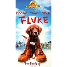 Click here to buy Fluke.