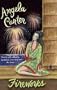 Fireworks (Virago Modern Classics)