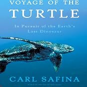 Voyage of the Turtle | [Carl Safina]