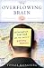 The Overflowing Brain: Information Overload and the Limits of Working Memory